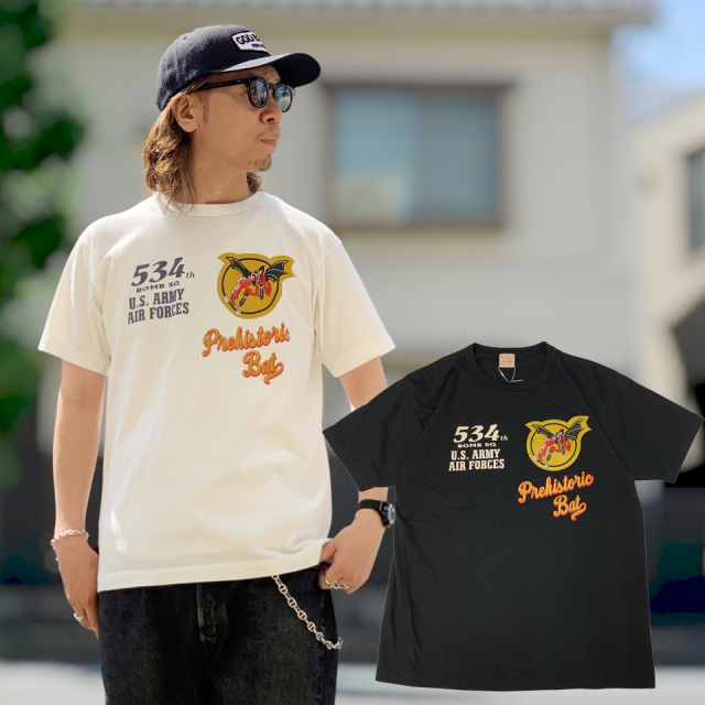 BUZZ RICKSON'S / GOVERNMENT S/S TEE - 534th BOMB SQ.