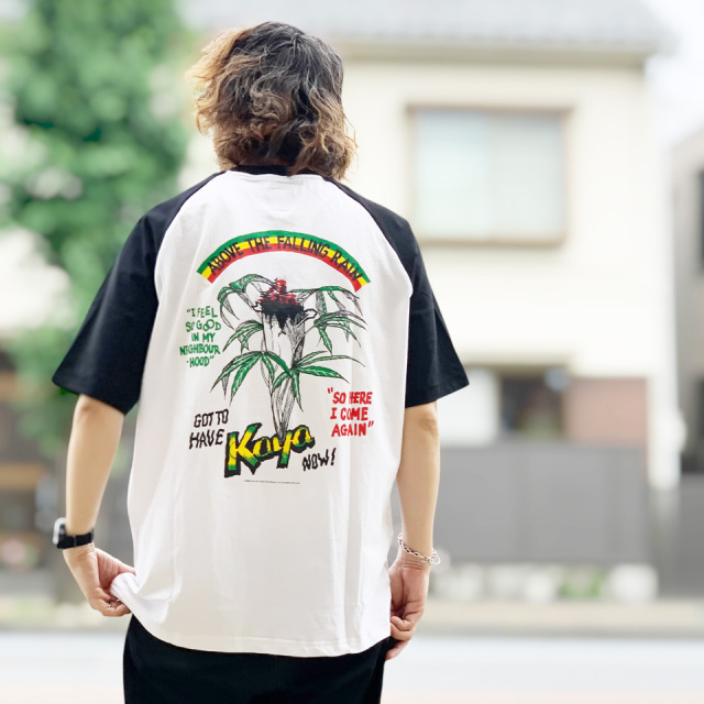 POT MEETS POP ポットミーツポップ Bob Marley KAYA RAGLAN SS TEE (2509-U030)