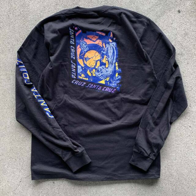 SANTACRUZ / ROSKOPP BREAK L/S Tee