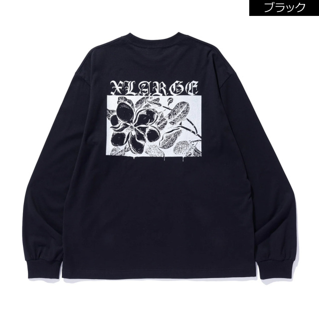 XLARGE / CLASSIC LS TEE