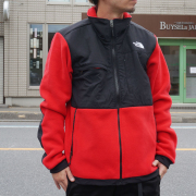 US企画 THE NORTH FACE ノースフェイス フリースジャケット DENALI 2 FLEECE JACKET