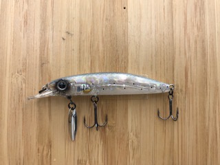 DONO-MINNOW -SSR70  霞シラウオ