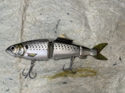 AYUCLONE180SW-KDW19コノシロ