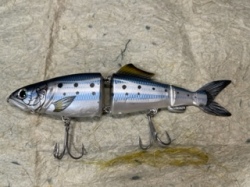 AYUCLONE180SW-KDW24マイワシ
