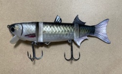 BORACON150 KDW12アジアンニゴイ