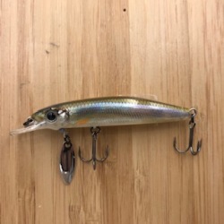 DONO-MINNOW -SSR70  マンマワカサギ