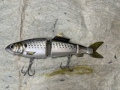 AYUCLONE180SW-KDW19コノシロ