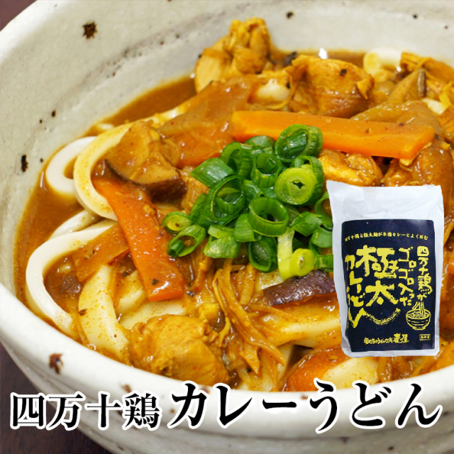 四万十鶏カレーうどん商品画像