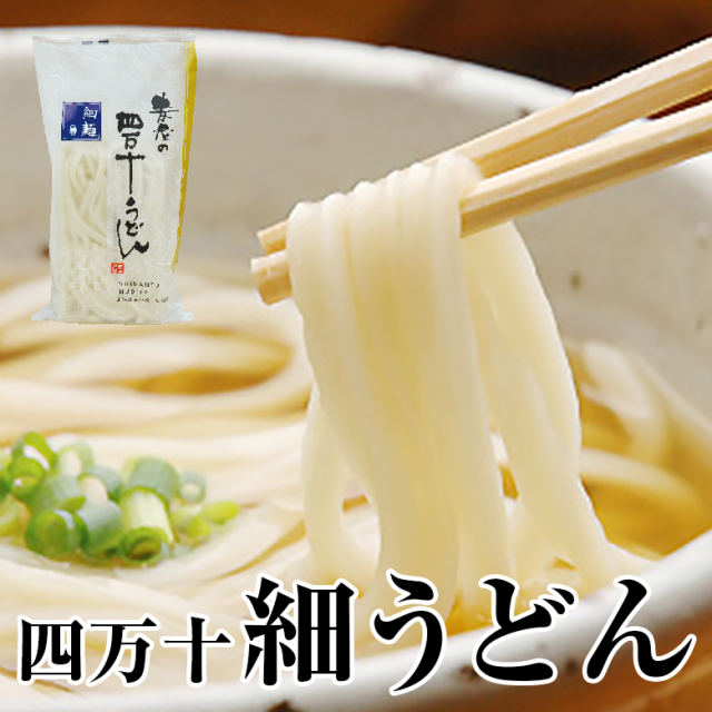 四万十細うどん