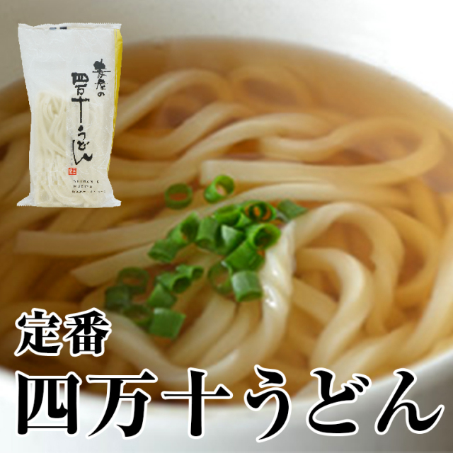 定番四万十うどん
