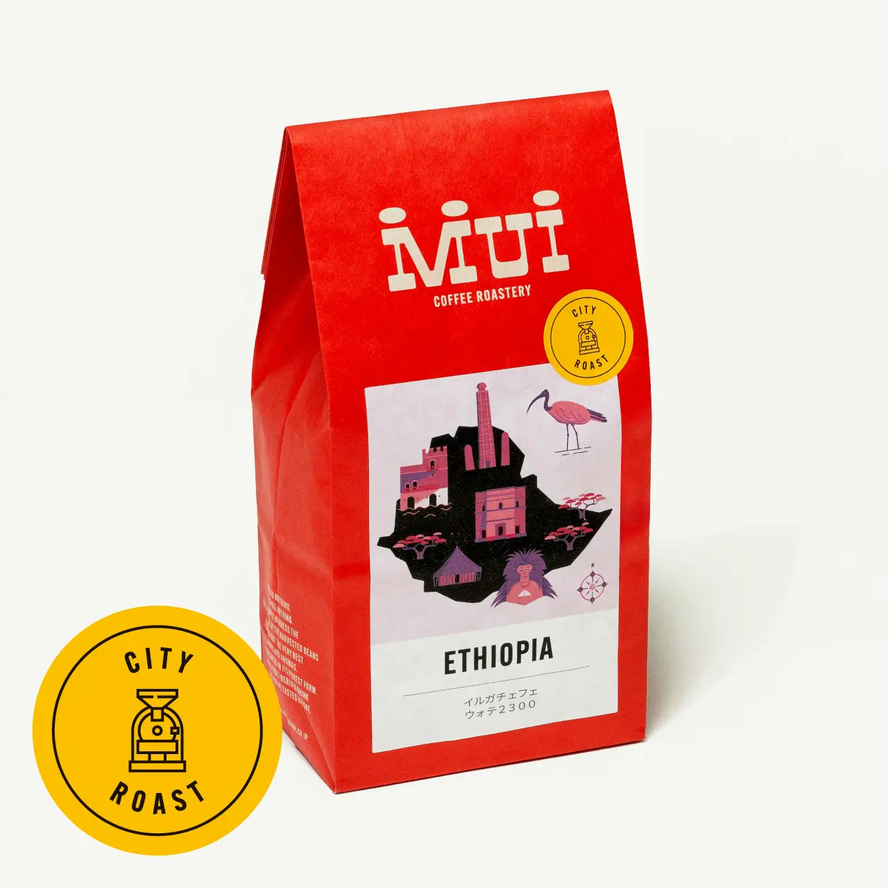 エチオピア「イルガチェフェ　ウォテ2300」C