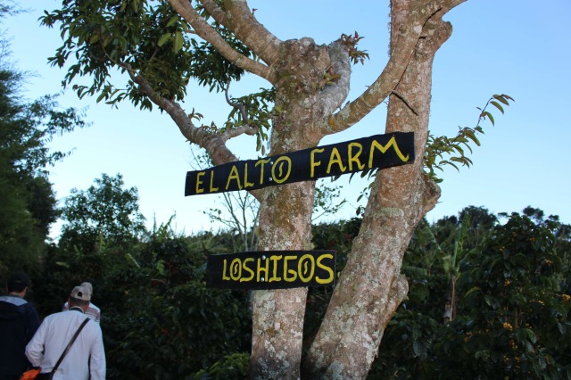 コスタリカ　ラ・ロカ　エル・アルト農地　シティ