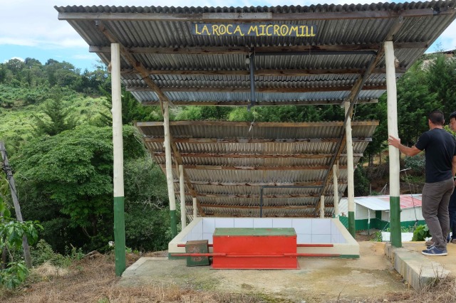 コスタリカ　ラ・ロカ　エル・アルト農地　フレンチ