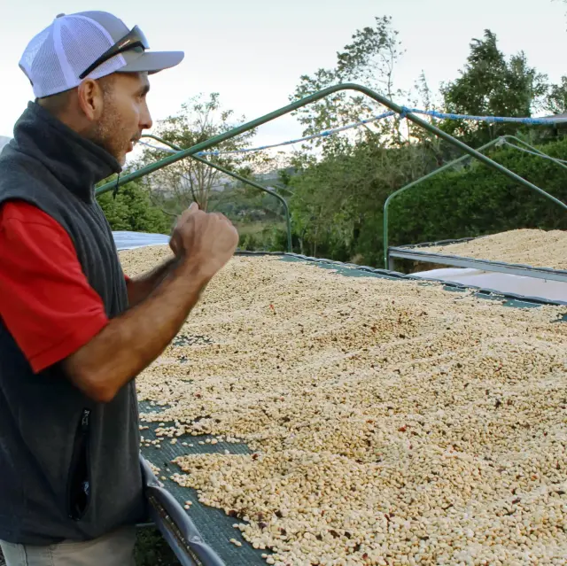 コスタリカ「カリサル・アリバ農地」
