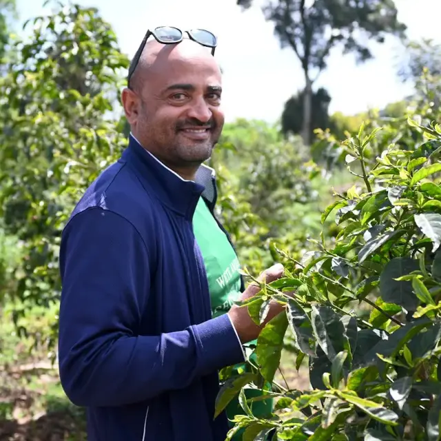 エチオピア「ハンベラ　ゴロ・ベデッサ」