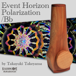 Event Horizon Polarization
