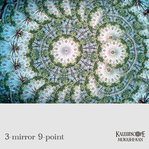 万華鏡 teleidoscope Octa Scope テレイドスコープ]The Teleidoscope-Bubinga/-Maple : Henry Bergeson