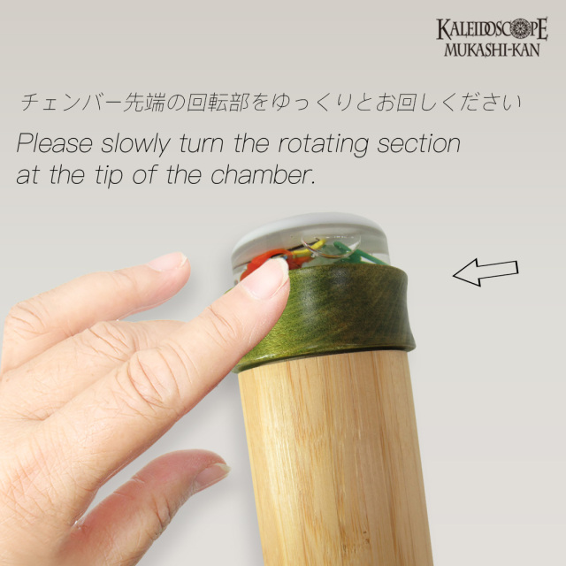 Bamboo