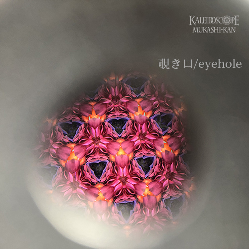 赤絵ミナイ手草花紋