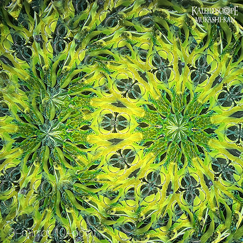 万華鏡：オイルワンド】凛_a：中里 保子[送料無料]