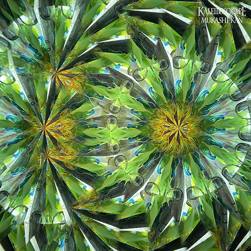 万華鏡：オイルワンド】凛_b：中里 保子[送料無料]