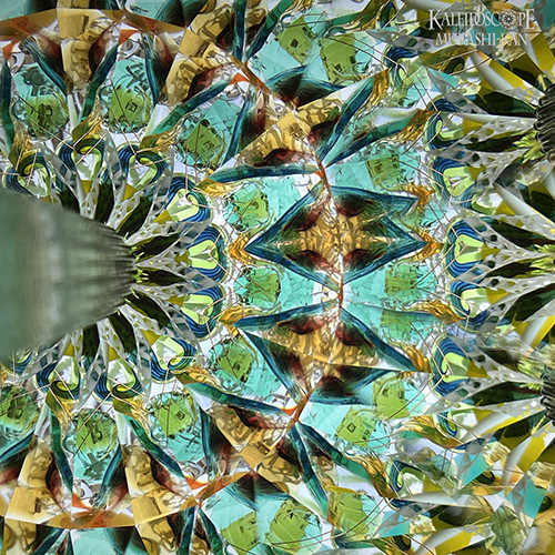 万華鏡：オイルワンド】Tarot Cards Kaleidoscope_Queen Wands：中里