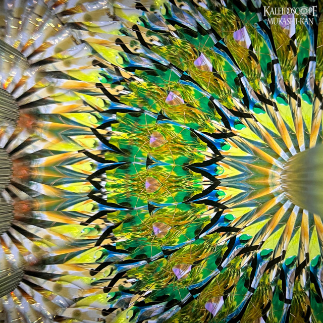 Pino_one of a kind