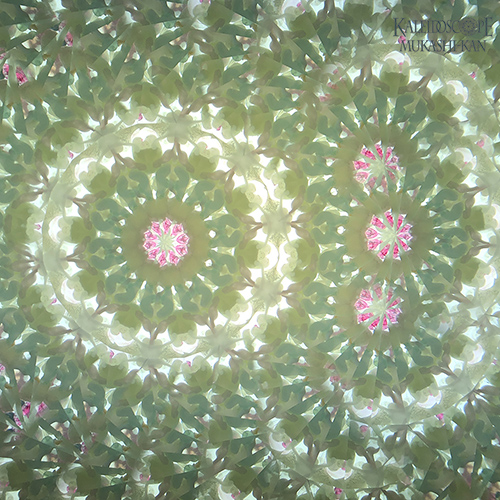 Garden 3mir