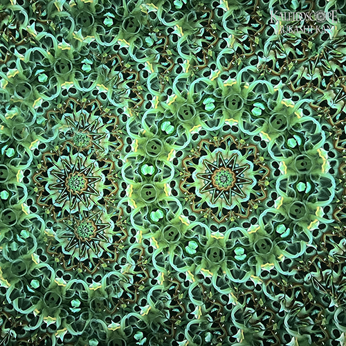万葉想華