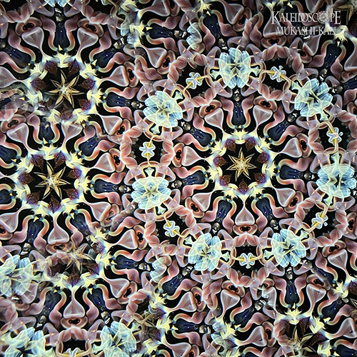 El Dorado