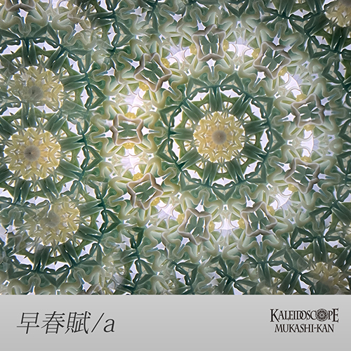 オイル万華鏡] 早春賦 / そうしゅんふ ： かたおかきくよ[送料無料]