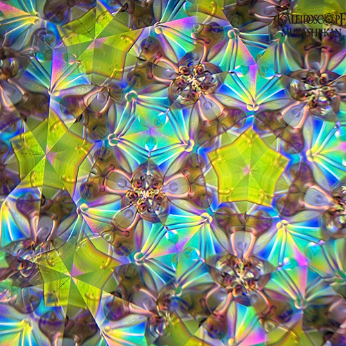 S×H