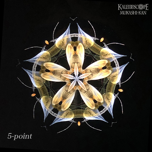 万華鏡　オイルチェンバー　カレイドスコープ　細井厚子　quiet 万華鏡 オイルチェンバー カレイドスコープ 細井厚子 quiet