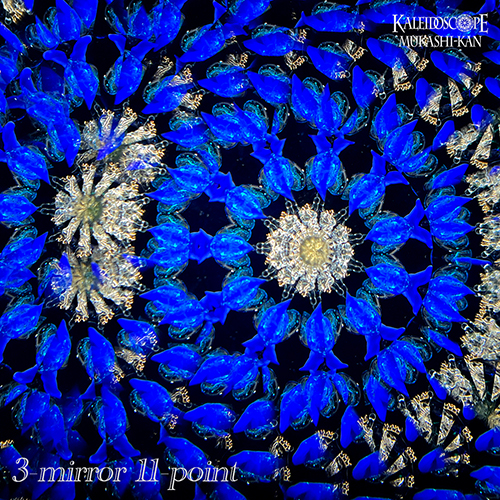 Azure d’ Or