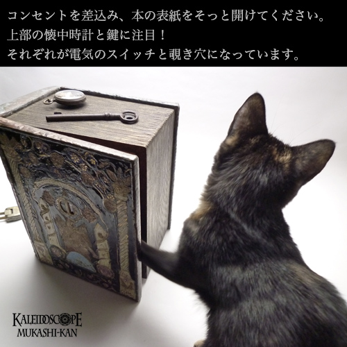 猫　万華鏡　小嶌淳 猫 万華鏡 小嶌淳 小嶌 淳 / Jun Kojima | Art Kaleidoscope