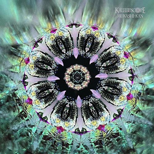 万華鏡：オイル]Alchemist アルケミスト/ラージ/ ロータス： 小嶌 淳