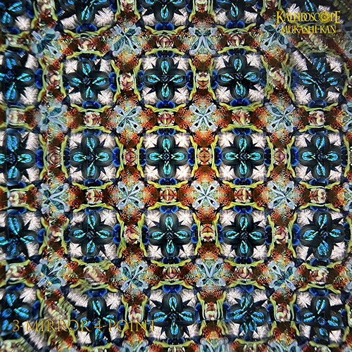 万華鏡：オイル]SERAPH ・セラフ/青釉花角交差模様 ： 小嶌 淳＆喜多