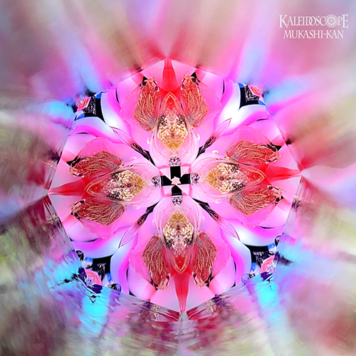 万華鏡：オイル]くりすたる/2ミラー f： 小嶌 淳[送料無料]