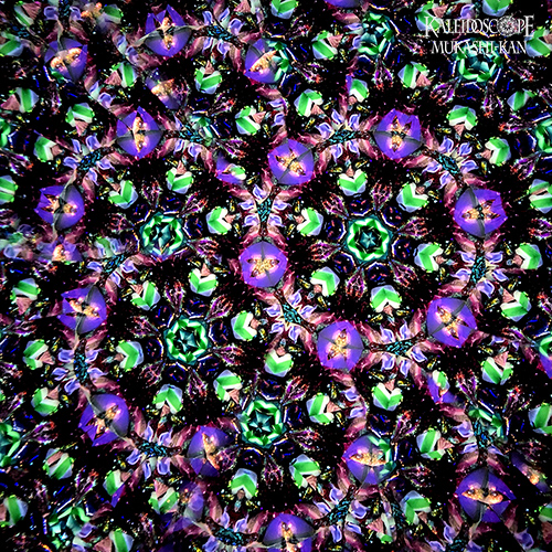 エリクサー・ポット