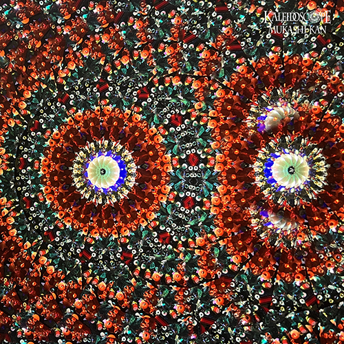 オイルチェンバースコープ]Parlorscope_Bubinga : Mark & Carole