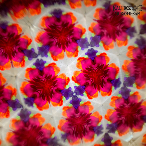 delica beads