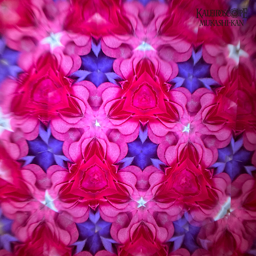 delica beads