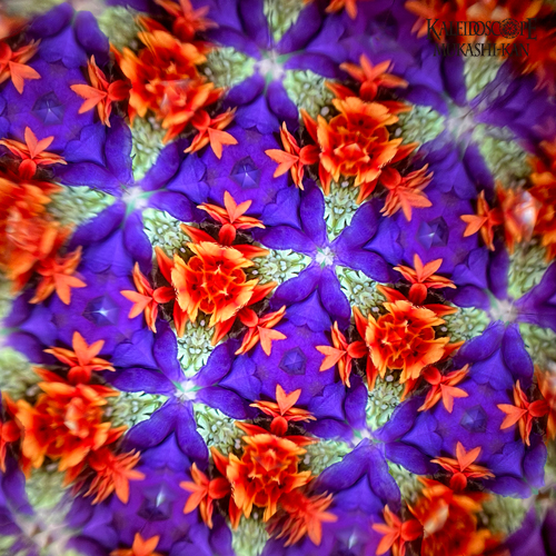 delica beads