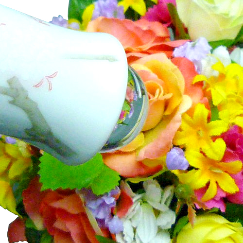 吉野桜