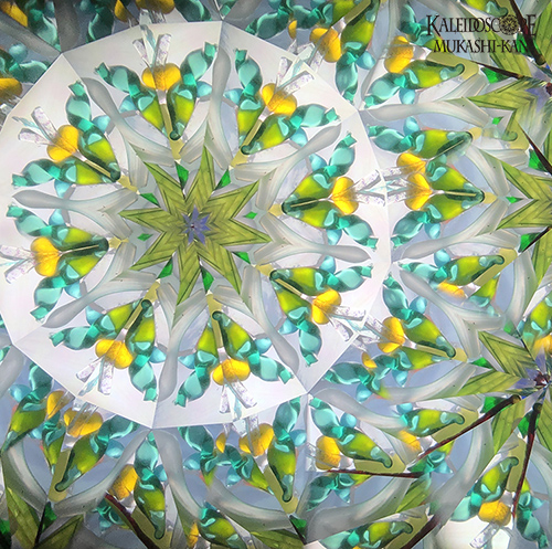 万華鏡：ドライ]白椿 / 3ミラー 8ポイント：ケロウメ工房［送料無料］