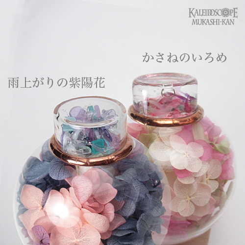 雨上がりの紫陽花