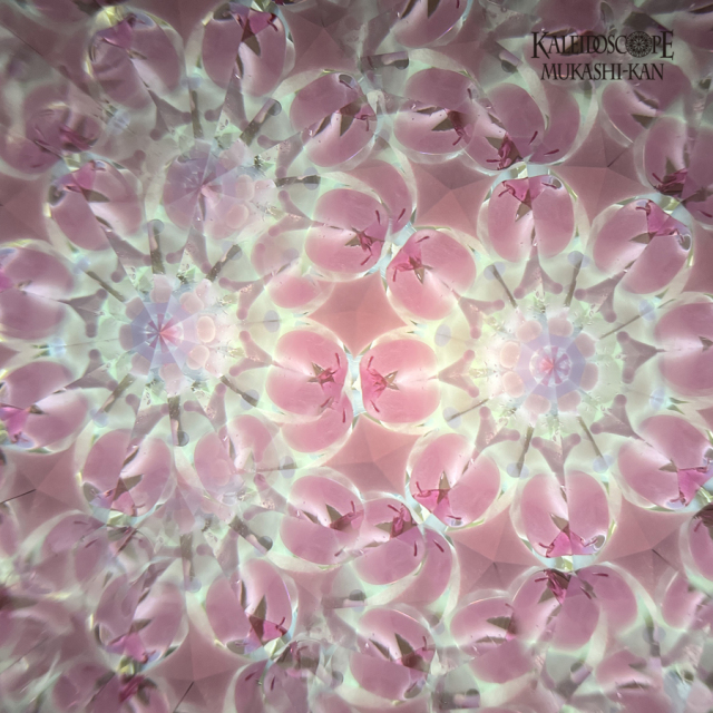 花舞う春色のそら