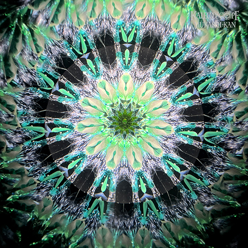 MOON4