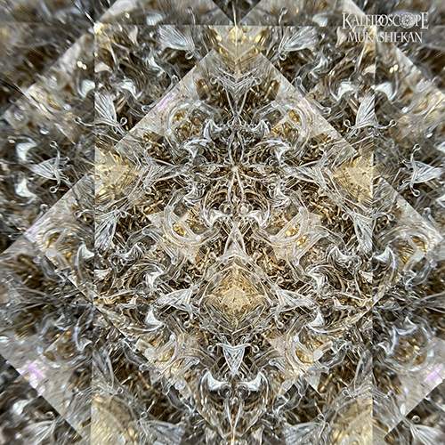 万華鏡：ドライ]rasen /ラセン：溝口朋瑛[送料無料]