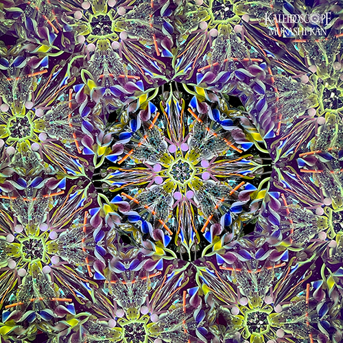 Dichroic Chameleon Kaleidoscope